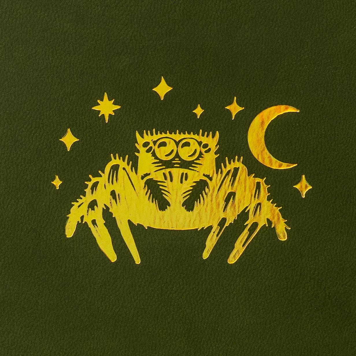 Jumping Spider Edition: Webs of Creativity Journal | A5 Dot Grid | Journal by RavenMoonCreates, Tarantula Cribs & Tarantula Kat