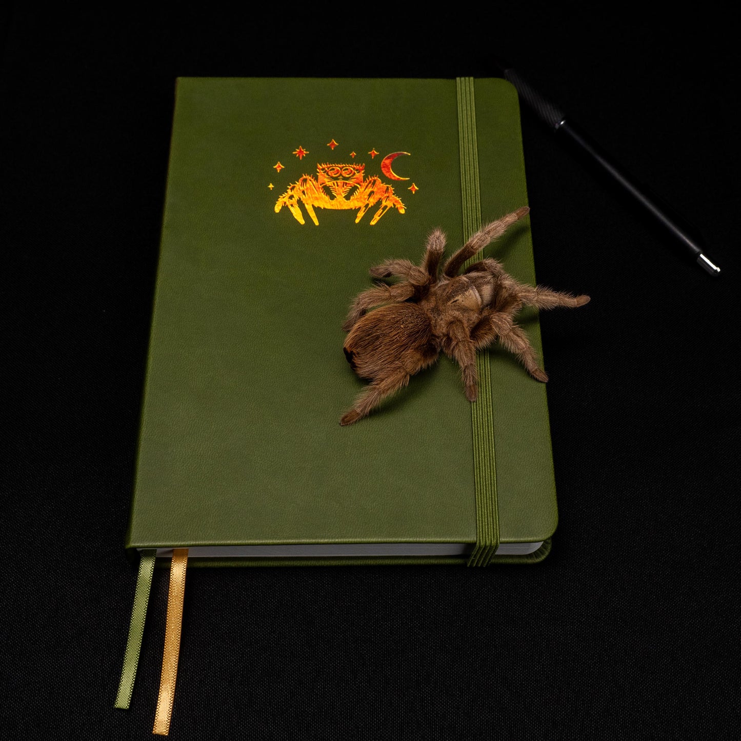 Jumping Spider Edition: Webs of Creativity Journal | A5 Dot Grid | Journal by RavenMoonCreates, Tarantula Cribs & Tarantula Kat